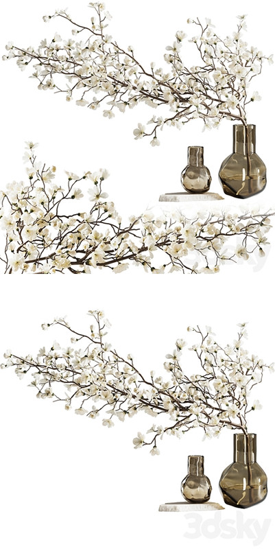 Blooming branch in a vase